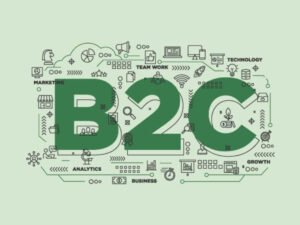 B2C Business Model: Definition, Examples, Advantages and Disadvantages