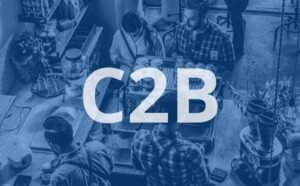 C2B Business Model: Definition, Examples, Advantages and Disadvantages