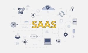 SaaS Business Model: Definition, Examples, Advantages and Disadvantages
