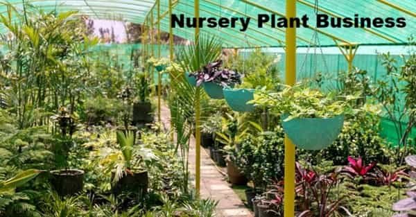 Is a Nursery Plant Business Legal in India?