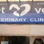 Is a Veterinary Clinic Legal Without Registration?