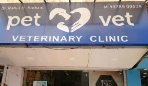 Is a Veterinary Clinic Legal Without Registration?